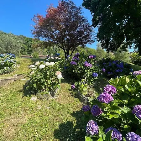 Holiday home Casa Fronte Con Piscina Angera